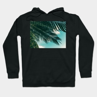 Tropical Palms Hoodie